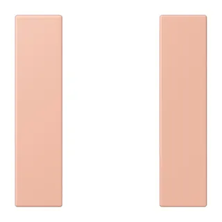 Jung Tastensatz 1fach, F50, Serie LS, rose clair LC501TSA231