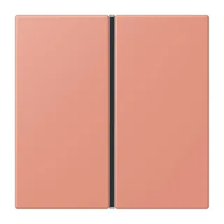 Jung Tastensatz 1fach, F40, Serie LS, l'ocre rouge moyen LC401TSA233