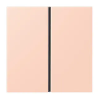 Jung Tastensatz 1fach, F40, Serie LS, l'ocre rouge clair LC401TSA234