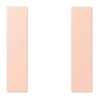 Jung Tastensatz 1fach, F50, Serie LS, l'ocre rouge clair LC501TSA234