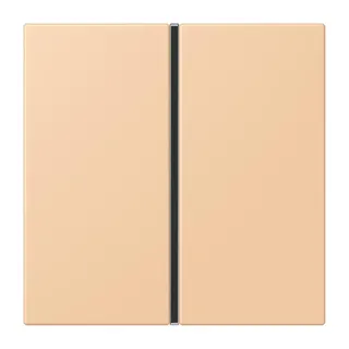 Jung Tastensatz 1fach, F40, Serie LS, terre sienne claire 31 LC401TSA237