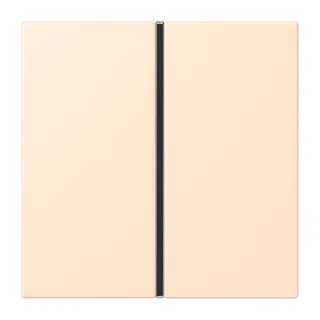 Jung Tastensatz 1fach, F40, Serie LS, terre sienne pâle LC401TSA238