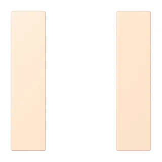 Jung Tastensatz 1fach, F50, Serie LS, terre sienne pâle LC501TSA238