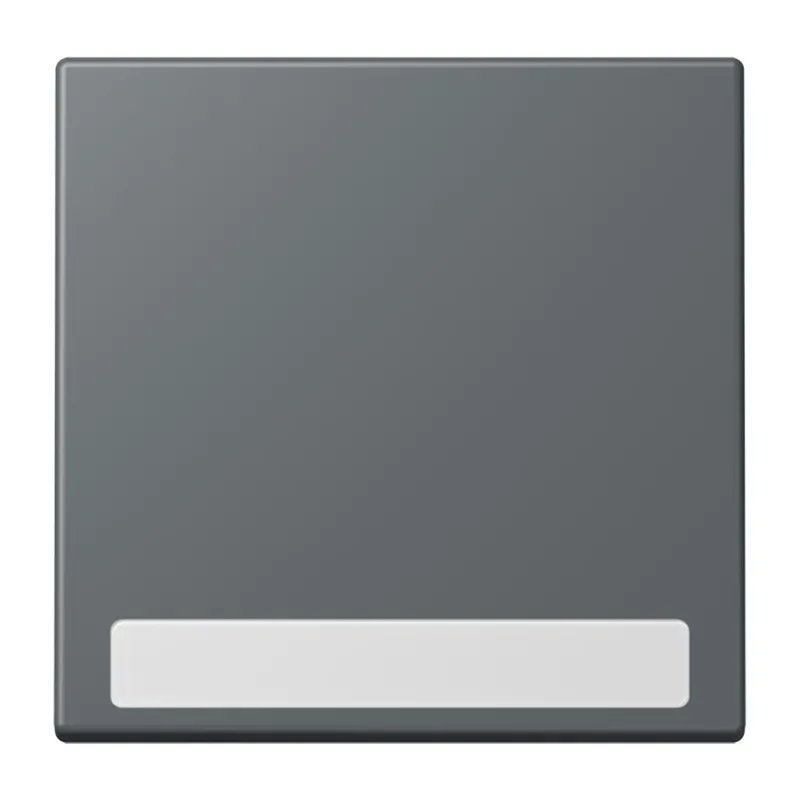Jung Wippe 1fach, mit Schriftfeld, Serie LS, gris foncé 31 LC990NA202