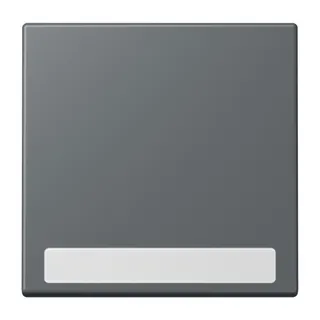 Jung Wippe 1fach, mit Schriftfeld, Serie LS, gris foncé 31 LC990NA202