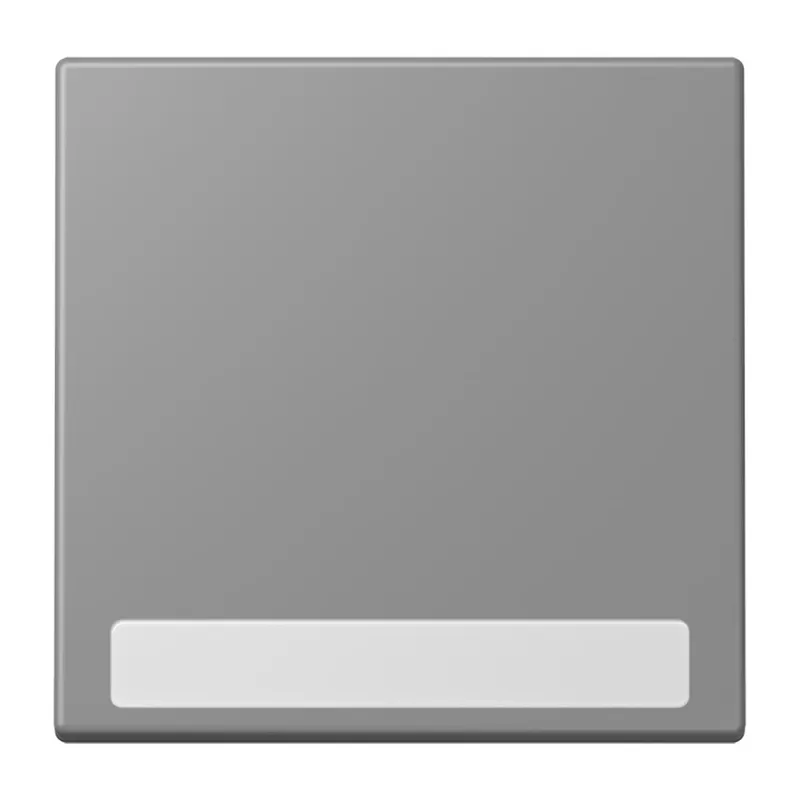 Jung Wippe 1fach, mit Schriftfeld, Serie LS, gris 31 LC990NA203
