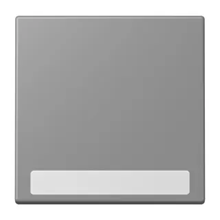 Jung Wippe 1fach, mit Schriftfeld, Serie LS, gris 31 LC990NA203