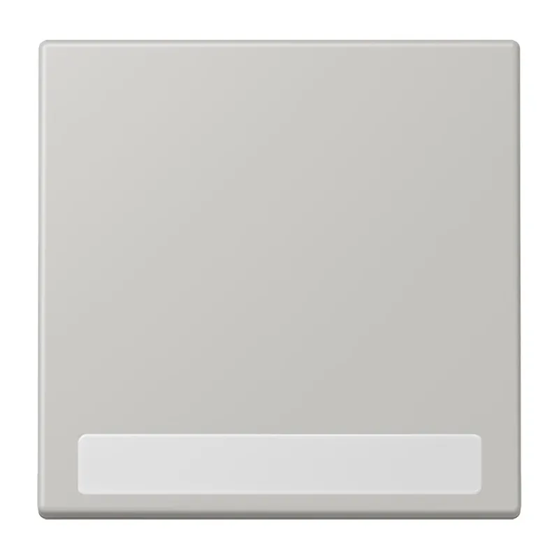 Jung Wippe 1fach, mit Schriftfeld, Serie LS, gris clair 31 LC990NA205