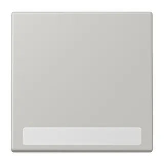 Jung Wippe 1fach, mit Schriftfeld, Serie LS, gris clair 31 LC990NA205