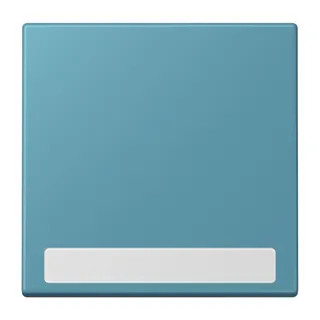 Jung Wippe 1fach, mit Schriftfeld, Serie LS, céruléen vif LC990NA212