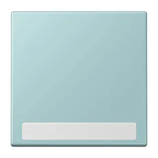 Jung Wippe 1fach, mit Schriftfeld, Serie LS, céruléen clair LC990NA214