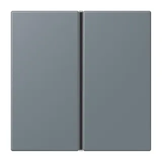 Jung Tastensatz 1fach, F40, Serie LS, gris 59 LC401TSA251