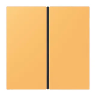 Jung Tastensatz 1fach, F40, Serie LS, ocre jaune clair LC401TSA254
