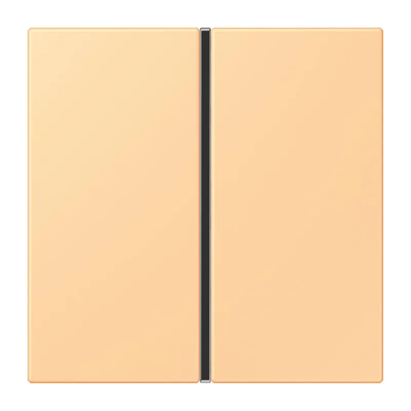 Jung Tastensatz 1fach, F40, Serie LS, terre sienne claire 59 LC401TSA258