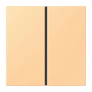 Jung Tastensatz 1fach, F40, Serie LS, terre sienne claire 59 LC401TSA258