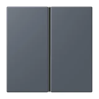 Jung Tastensatz 1fach, F40, Serie LS, gris fonce 59 LC401TSA262