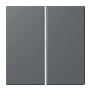 Jung Tastensatz 2fach, F40, Serie LS, gris foncé 31 LC402TSA202