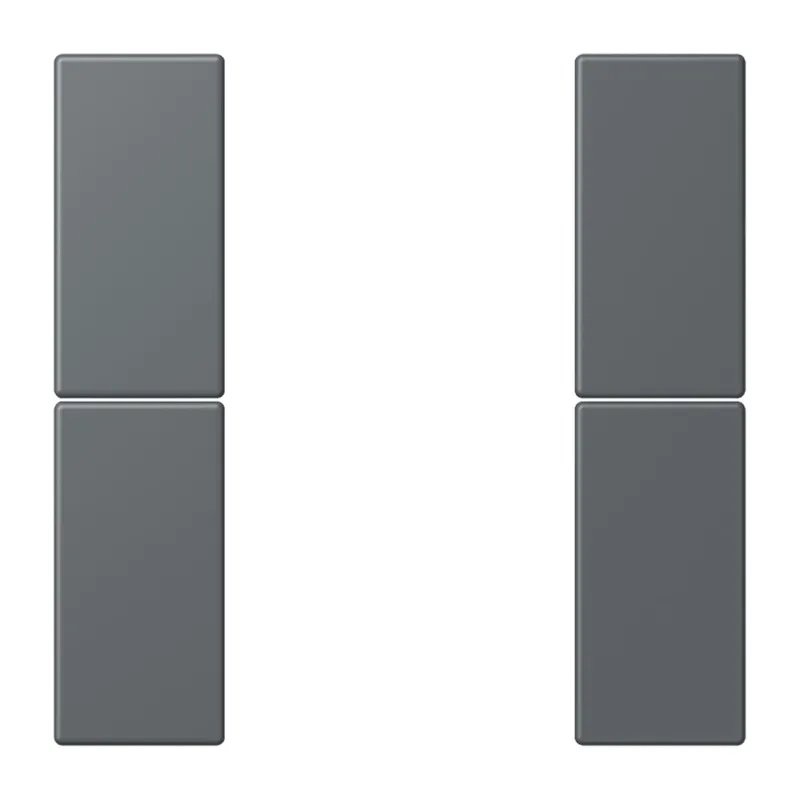 Jung Tastensatz 2fach, F50, Serie LS, gris foncé 31 LC502TSA202