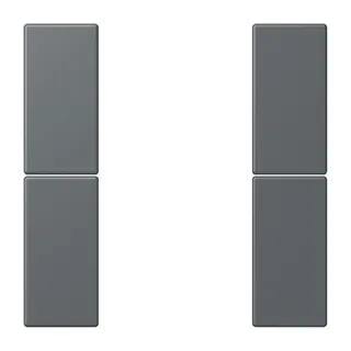 Jung Tastensatz 2fach, F50, Serie LS, gris foncé 31 LC502TSA202