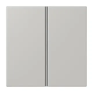 Jung Tastensatz 2fach, F40, Serie LS, gris clair 31 LC402TSA205