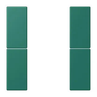 Jung Tastensatz 2fach, F50, Serie LS, vert anglais LC502TSA216