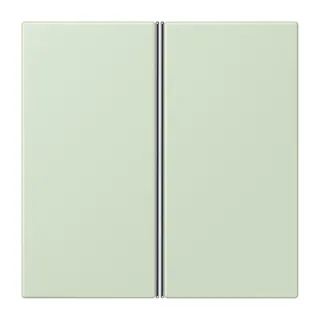 Jung Tastensatz 2fach, F40, Serie LS, vert anglâis pale LC402TSA218