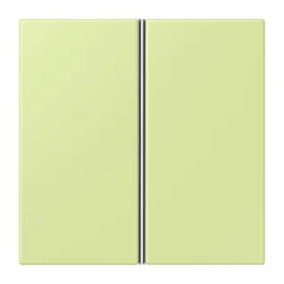 Jung Tastensatz 2fach, F40, Serie LS, vert jaune clair LC402TSA222