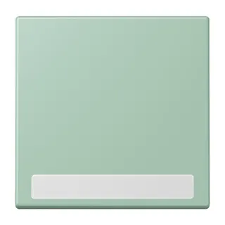 Jung Wippe 1fach, mit Schriftfeld, Serie LS, vert anglais clair LC990NA217