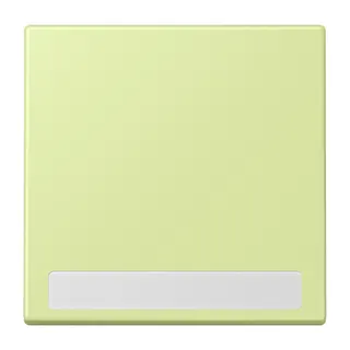 Jung Wippe 1fach, mit Schriftfeld, Serie LS, vert jaune clair LC990NA222
