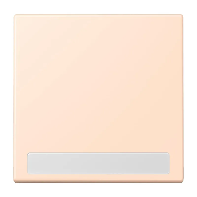 Jung Wippe 1fach, mit Schriftfeld, Serie LS, rose pâle LC990NA228