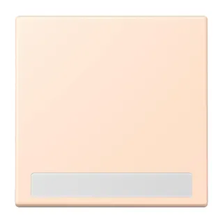Jung Wippe 1fach, mit Schriftfeld, Serie LS, rose pâle LC990NA228