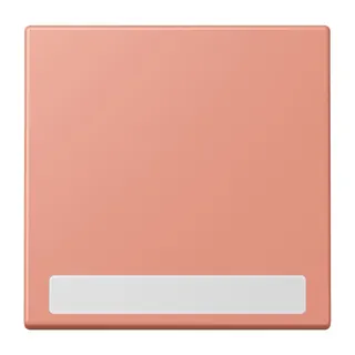 Jung Wippe 1fach, mit Schriftfeld, Serie LS, l'ocre rouge moyen LC990NA233