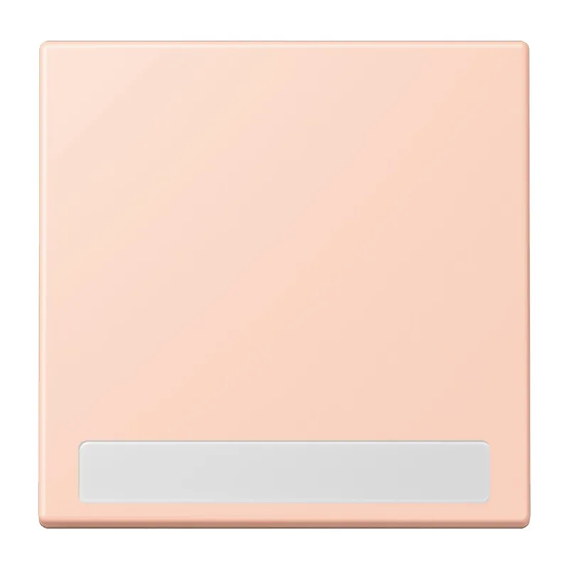 Jung Wippe 1fach, mit Schriftfeld, Serie LS, l'ocre rouge clair LC990NA234