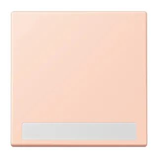 Jung Wippe 1fach, mit Schriftfeld, Serie LS, l'ocre rouge clair LC990NA234