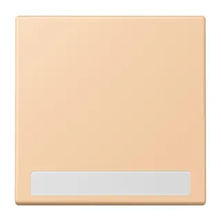 Jung Wippe 1fach, mit Schriftfeld, Serie LS, terre sienne claire 31 LC990NA237