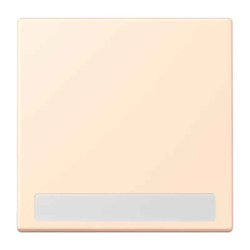 Jung Wippe 1fach, mit Schriftfeld, Serie LS, terre sienne pâle LC990NA238