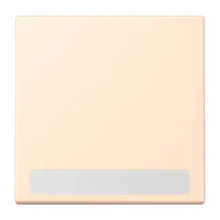 Jung Wippe 1fach, mit Schriftfeld, Serie LS, terre sienne pâle LC990NA238