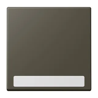 Jung Wippe 1fach, mit Schriftfeld, Serie LS, ombre naturelle 31 LC990NA241