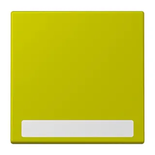 Jung Wippe 1fach, mit Schriftfeld, Serie LS, vert olive vif LC990NA249
