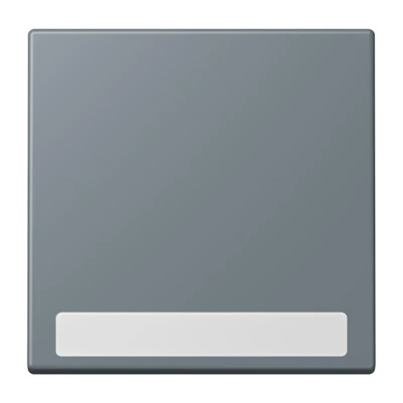 Jung Wippe 1fach, mit Schriftfeld, Serie LS, gris 59 LC990NA251