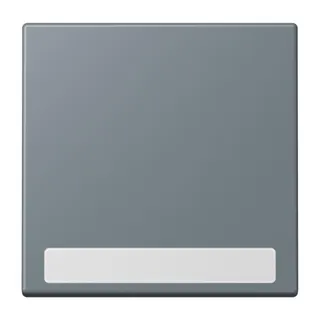 Jung Wippe 1fach, mit Schriftfeld, Serie LS, gris 59 LC990NA251