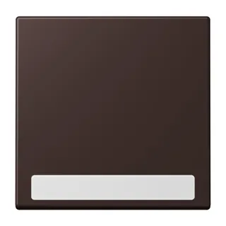 Jung Wippe 1fach, mit Schriftfeld, Serie LS, terre d?ombre br?lée 59 LC990NA252