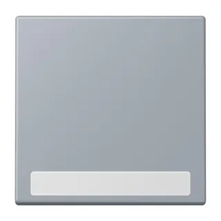 Jung Wippe 1fach, mit Schriftfeld, Serie LS, gris clair 59 LC990NA257