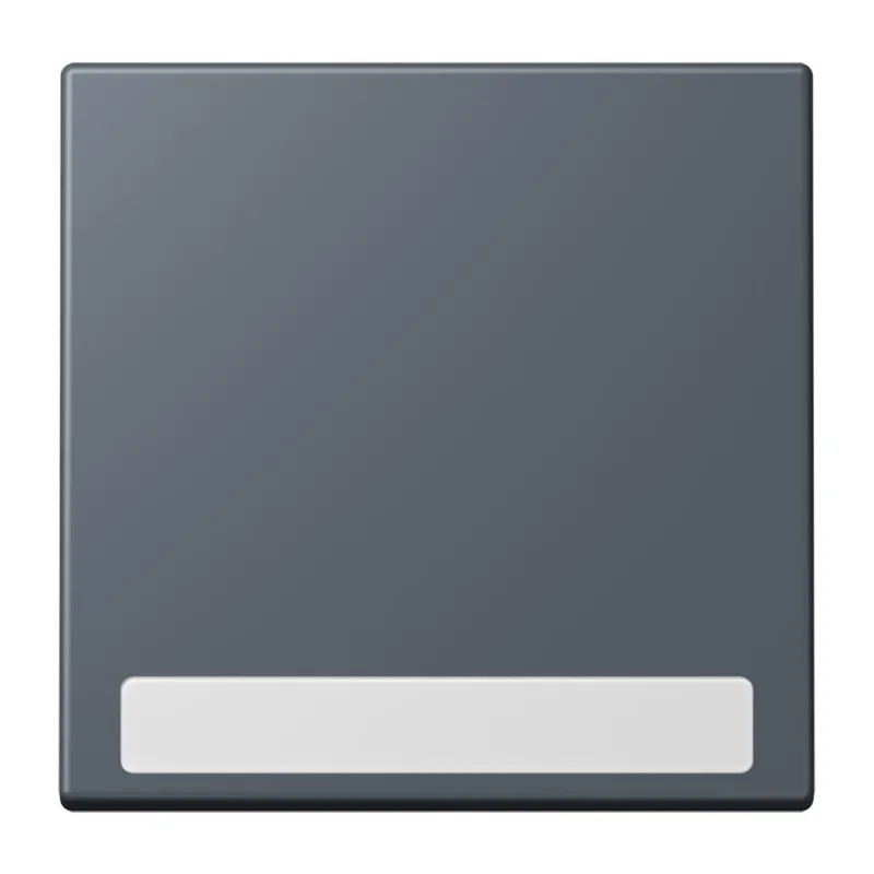 Jung Wippe 1fach, mit Schriftfeld, Serie LS, gris fonce 59 LC990NA262