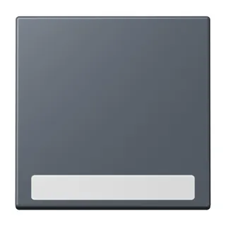 Jung Wippe 1fach, mit Schriftfeld, Serie LS, gris fonce 59 LC990NA262