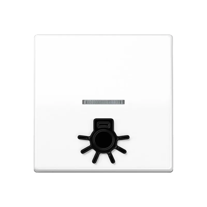 Jung Wippe 1fach mit Lichtleiter, mit abtastbarem Symbol Licht, Duroplast antimikrobiell, Serie AS, alpinweiß SPAS591L1KO5WW