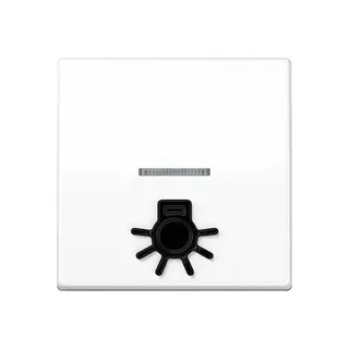 Jung Wippe 1fach mit Lichtleiter, mit abtastbarem Symbol Licht, Duroplast antimikrobiell, Serie AS, alpinweiß SPAS591L1KO5WW