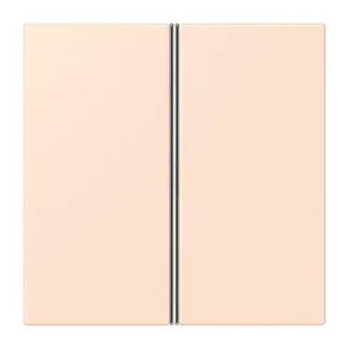 Jung Tastensatz 2fach, F40, Serie LS, orange pâle LC402TSA226