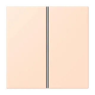 Jung Tastensatz 2fach, F40, Serie LS, rose pâle LC402TSA228