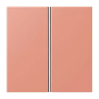 Jung Tastensatz 2fach, F40, Serie LS, l'ocre rouge moyen LC402TSA233
